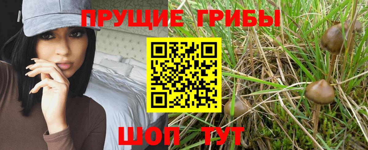 Минусинск  Галлюциногенные грибы MAGIC MUSHROOMS  Вход с VPN 