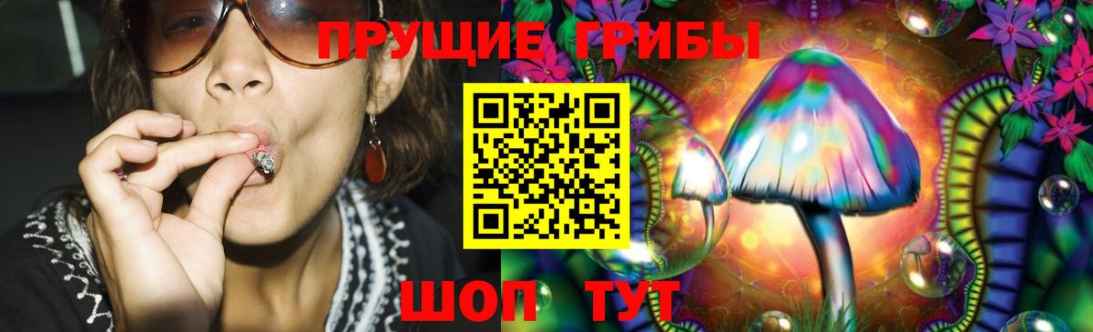 Псилоцибиновые грибы Psilocybine cubensis Минусинск